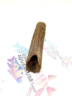 Bristlenose breeding log small front