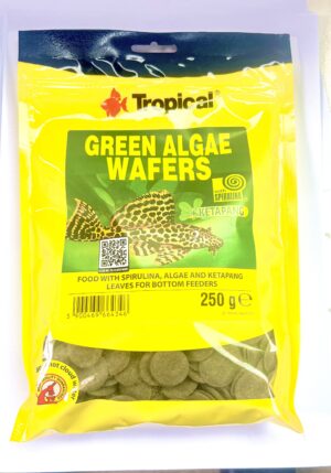 Tropical Green Algae 10mm Wafers 250g